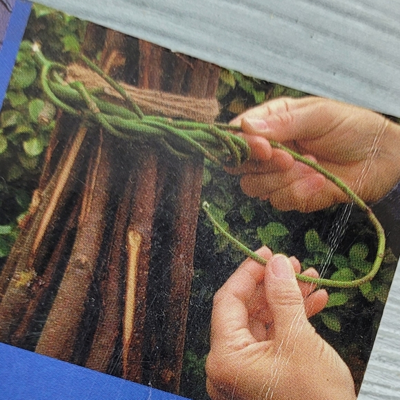 Green Wood for the Garden - Woodworking Project Book - Picture 4 of 4